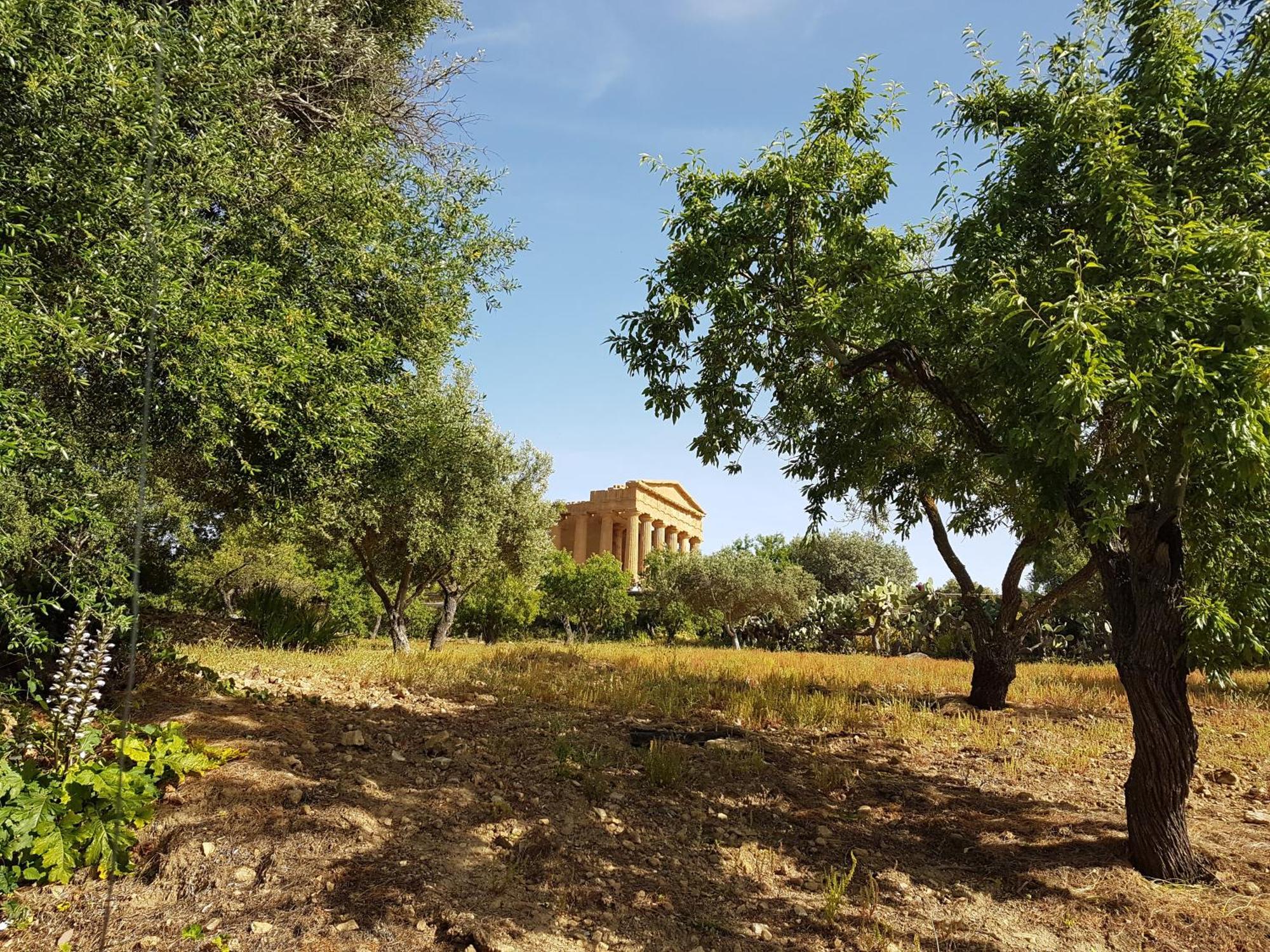 Lala Salama San Leone Exterior foto